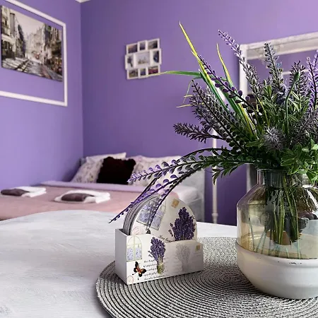 Lawendowy * Валбжих