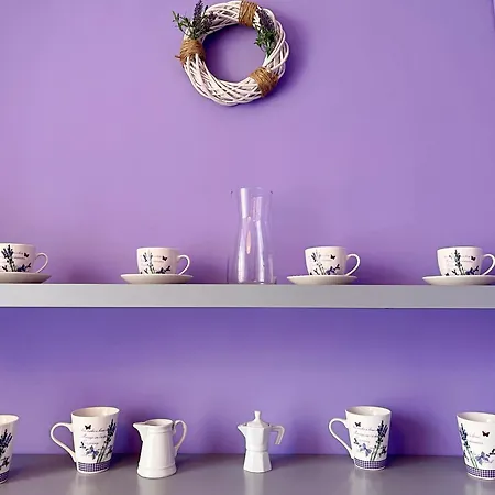 Lawendowy * Wałbrzych