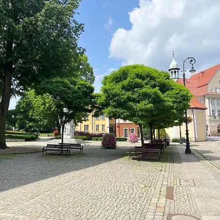 Lawendowy * Wałbrzych