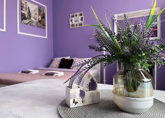 Lawendowy * Wałbrzych