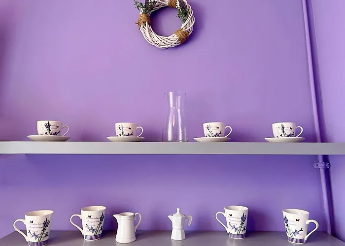 Lawendowy * Wałbrzych