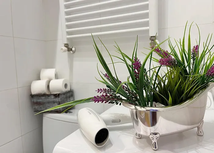 Lawendowy Appartement *